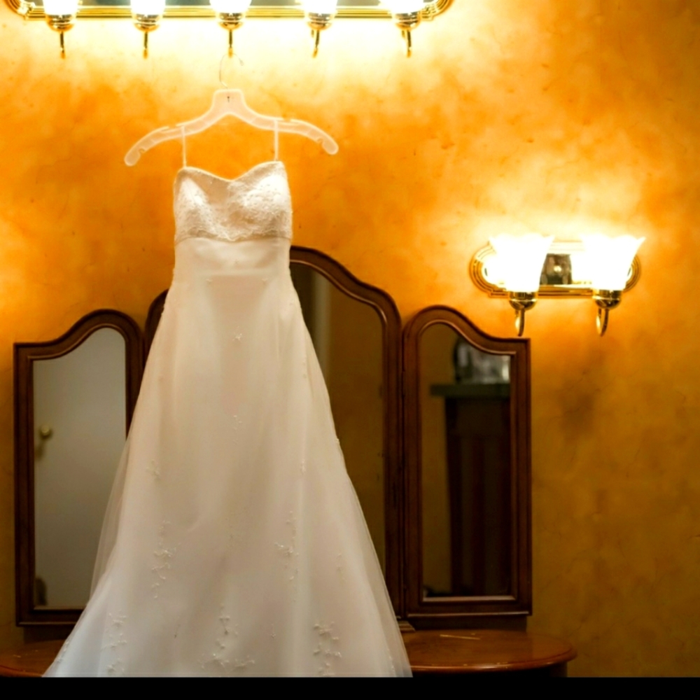 Pronovias Petite Wedding Dress
